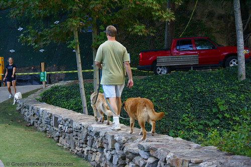 walking meditation: how to turn your daily walk into mindfulness