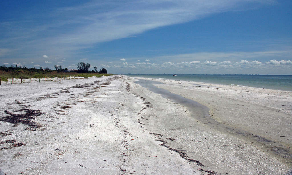 Cape Coral City Council Approves Updated Zoning Ordinance Impacting Residential and Commercial Development